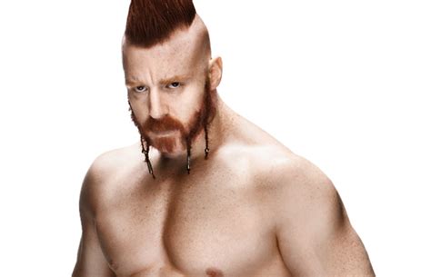 shemesh wwe
